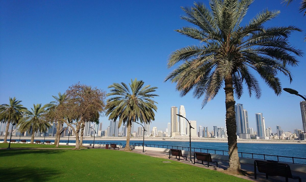 Les 5 activités gratuites ou pas chères pour découvrir Dubaï comme un local
